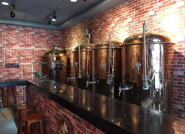 源鑫啤酒設備在外形上會有顏色變化嗎